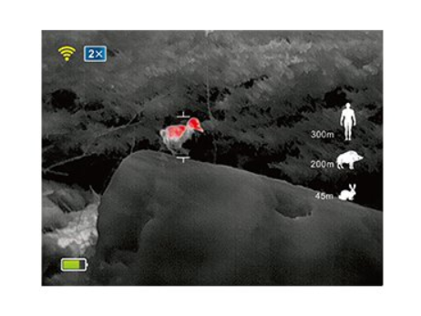 Night Pearl Scops 35 MAX II