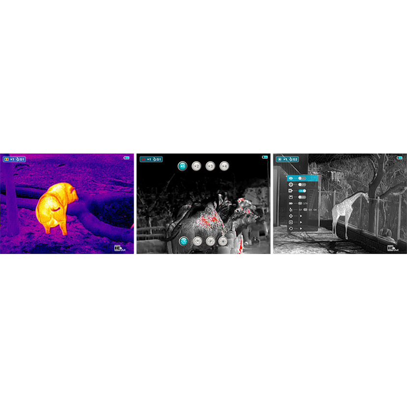 Night Pearl FOX 19 HUNT WIFI