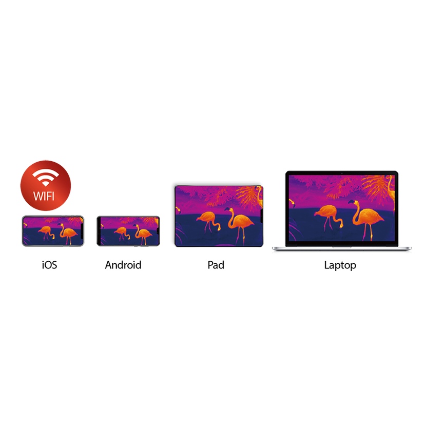 Night Pearl Scops 25 ELITE