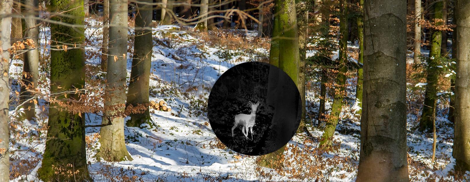 Termovizní monokulár HIKMICRO Lynx PRO LH15