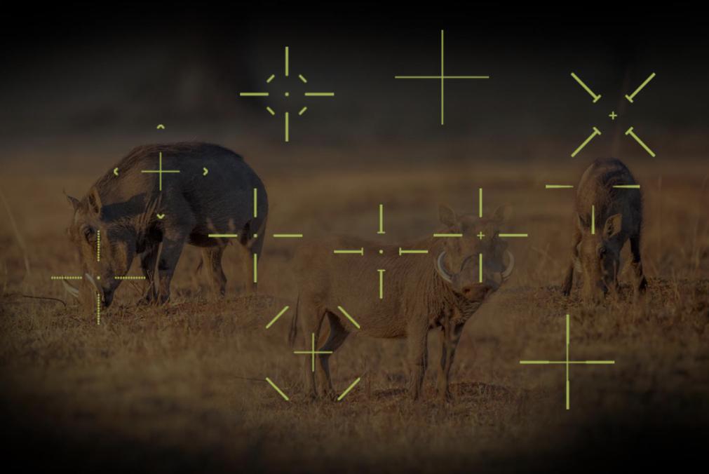 DAHUA PIXFRA CHIRON C650